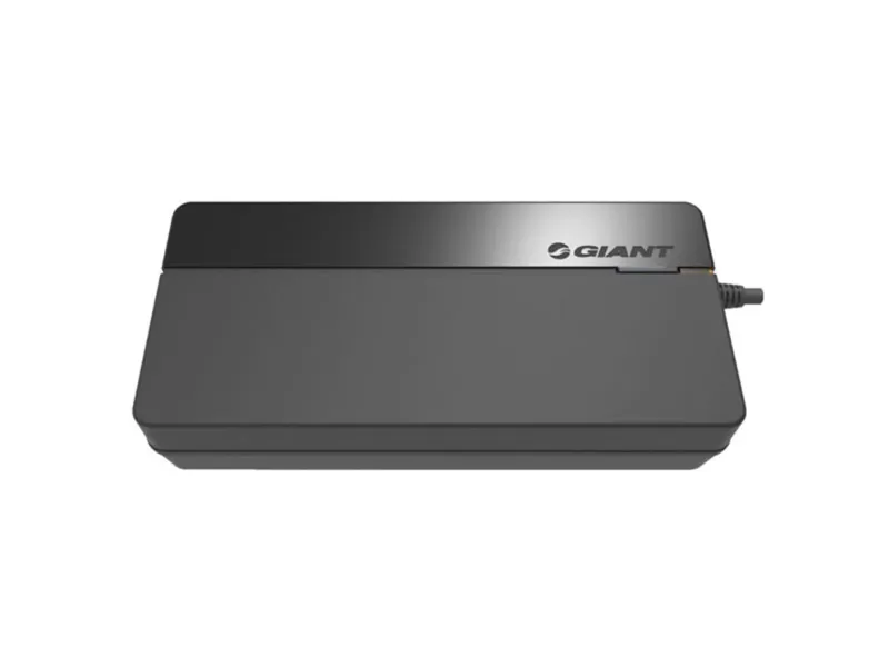 Giant E-bike Smart Charger Integrated Battery Model 6A