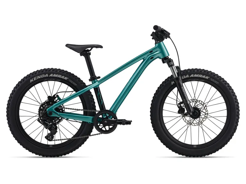 Giant STP 20 FS-giant OS Teal 2026