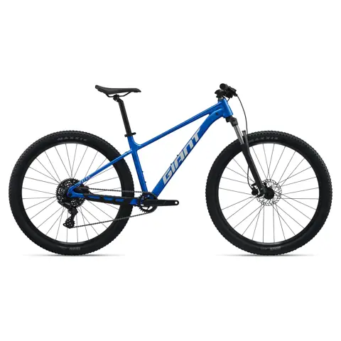 giant bicycles melbourne Cross City 2 Disc Flat Bar Road Bike 2025 Asphalt Green About Giant Lygon St